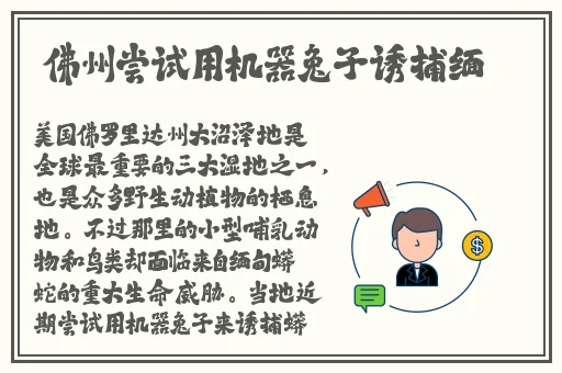 手机青青在线观看国产
